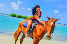 Horseback Ride and Swim Experience Montego with Transportation