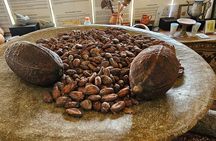 Roatan City Tour and Beach with Chocolate and Rum Tasting