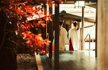 Unlock Tokyo’s Secrets with a Custom Private Tour
