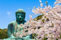 From Tokyo: Kamakura, Enoshima and Yokohama night view tour