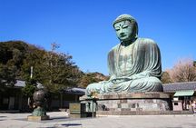 From Tokyo: Kamakura, Enoshima and Yokohama night view tour