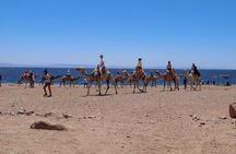 Blue Hole in Dahab By Bus with Lunch and Camel Ride - Sharm El-Sheikh