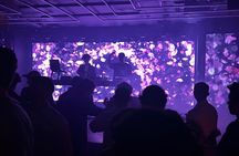 Osaka Giraffe Club Night Tour