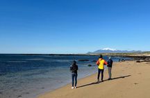 Snaefellsnes Peninsula Private Tour