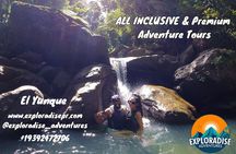 Rio Grande: El Yunque Waterfalls and Scenic Beach Buggy Adventure