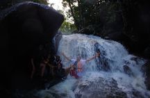 Rio Grande: El Yunque Waterfalls and Scenic Beach Buggy Adventure