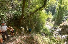 Manolates Hiking with Bus Transfer included