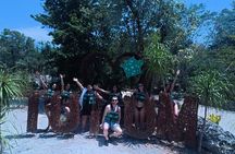 Private Cenotes Adventure in Tulum 