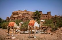 Day Trip to Ouarzazate and Ait Ben Haddou Kasbah