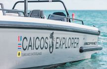 North and Middle Caicos Day Trip: Cruise, discover, explore! 