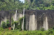 Ken's Panoramic Rainforest Tour