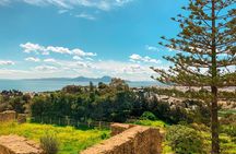 Tunisia Tour: Carthage, Sidi Bou Said, and Bardo Museum