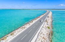 North and Middle Caicos Day Trip: Cruise, discover, explore!