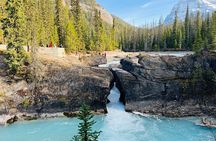 Emerald Lake,Natural Bridge, Peyto Lake Small Group Half Day Tour