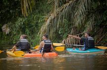 Four activities in Tortuguero with Two Breakfasts Included
