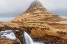 Orcas & Seals watching + Snæfellsnes volcanic (private van-6pax)