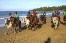Beach Horseback Riding and Swim Horse in Puerto Plata