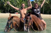 Beach Horseback Riding and Swim Horse in Puerto Plata