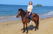 Beach Horseback Riding and Swim Horse in Puerto Plata