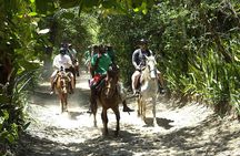 Beach Horseback Riding, Swim Horse, Hotel Pick Up Puerto Plata