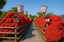 Kyoto Highlights Eastern Western Northern and Southern Routes