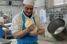 Masseria Visit with Mozzarella and Pasta Making Workshop