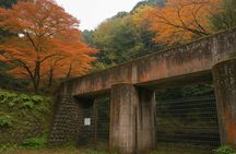 Kyoto Highlights Eastern Western Northern and Southern Routes