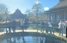 Mount Fuji Full Day Private Customizable Tour With English Guide