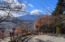 Mount Fuji Full Day Private Customizable Tour With English Guide