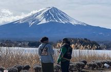 Tokyo Mount Fuji Day Private Customizable Tour With English Guide