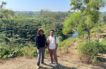 Tea Plantation and Rainforest Tour with Tribal Life in Sreemangal