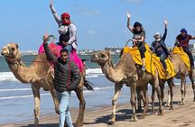 Private Full-Day Tour in Casablanca and Camel Ride in Mohammedia.