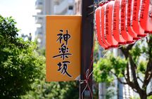 Kimono Photoshoot and Tea House Experience in Kagurazaka