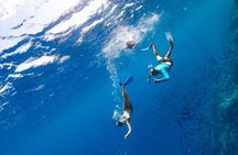 1 Hour Private Speedboat Ride Along the Shoreline -Sharm ElSheikh