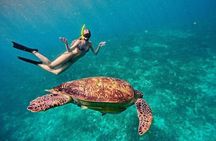 Gili Trawangan : Private Snorkeling with 3 spots or 4 spots
