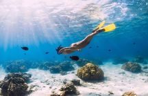 Gili Trawangan : Private Snorkeling with 3 spots or 4 spots
