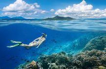 Gili Trawangan : Private Snorkeling with 3 spots or 4 spots