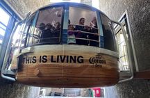 Cape Town Table Mountain Tour – Tickets & Hotel Transfers