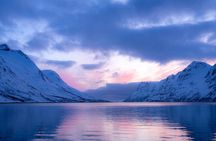 Fjord Adventure Tour in Tromsø with Wildlife and Lunch