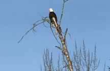 Driving Tour West Glacier National Park (excludes Sun Road)
