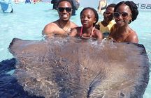 Stingrays and Starfish Point Tour