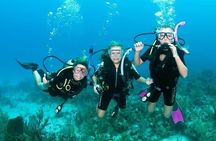 Tiran Island Full Day 2 Diving Stops Trip & Lunch–Sharm El Sheikh