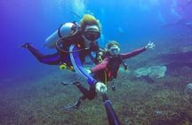 Tiran Island Full Day 2 Diving Stops Trip & Lunch–Sharm El Sheikh