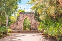 Private Birdwatching Tour with a Guide in Cozumel