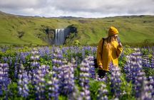 Beautiful South with Blue Lagoon - 5-Day Self-Drive