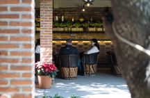Private Tequila Tour