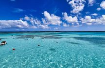 3-Hours Eye-Opening Stingray City Antigua - Transfer R/T included