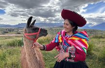 the best sacred valley tour: walk with Alpacas,culture experience
