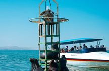 Full Day Lima Paracas & Adrenaline Tour in Huacachina