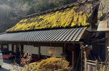 Kyoto Guided Walking Tour Discover a Different Side of Arashiyama